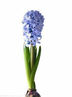 超励志的话给自己 最新励志句子26句