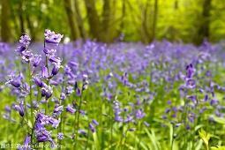 晚安心语正能量语录短句合集39句