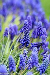 让人觉得心疼的句子