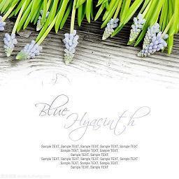 我所理解的生活经典语录