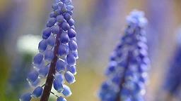 描写朋友之间真诚相待的句子推荐31句