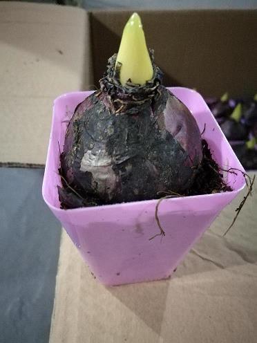 晚安说说简单励志一句话集合29句