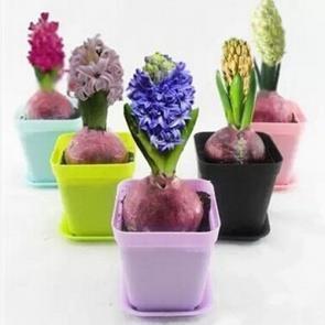 做人要诚信的名言名句 关于诚信的名言精选64句