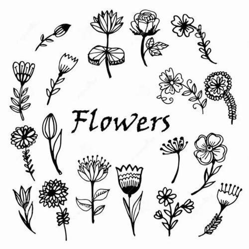 表白偶像的句子大全(精选86句)