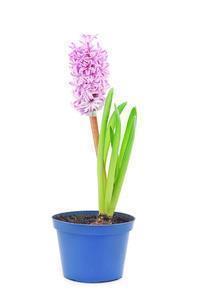 扎心说说很现实的句子 社会太现实人心太复杂的说说收录15句