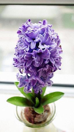 移动光宽带十佳口号经典用语大全