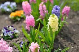 简短情话萌到炸很甜很撩人 2021网络软萌甜炸的短句情话