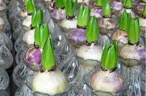 青春回忆往事的感慨句子