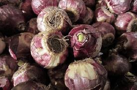 晒跟男朋友的合照的句子