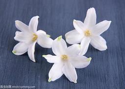 有关表示感谢朋友的诗句