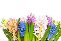 有板有眼的意思 有板有眼造句