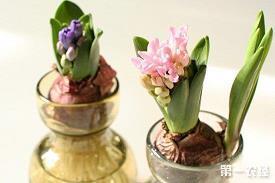 感恩节适合发微信朋友圈的经典句子