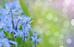 描写雪山的大气磅礴的句子(精选35句)