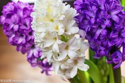 用求全责备造句大全