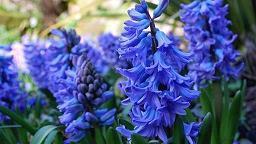 生活简单满足的句子