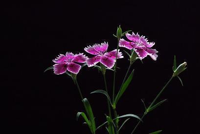 秋分时节，遇见醉美的诗词