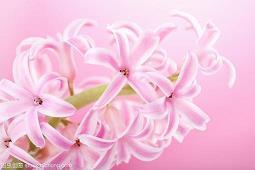 兄弟一起开心的句子