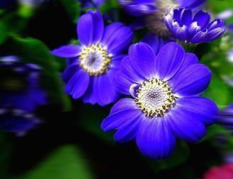 抖音一发就爆火的文案 落入凡间的温柔仙句汇总80句