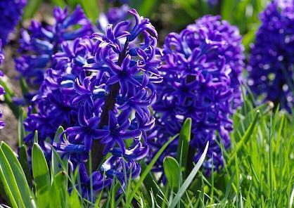 最新2021九月您好文案唯美(精选89句)