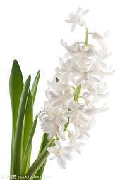 无奈打工的句子 打工心酸句子42句