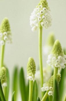 心烦的生活句子说说心情