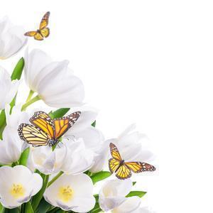 享受休闲一刻的美句 放松心情的句子汇总81句