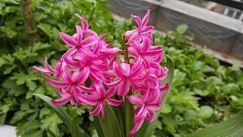 抖音短句子说说心情伤感 微信说说心情伤感(精选41句)