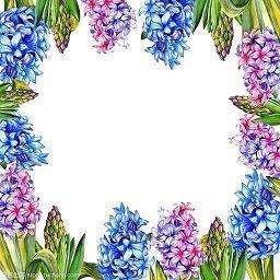 早安短句美好的一天开始的朋友圈集锦29句