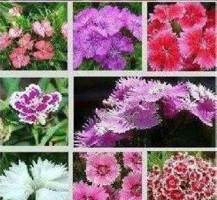 愿彼此珍惜的经典话语 彼此珍惜对方的句子