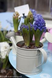 2021七夕快乐祝福语(精选98句)