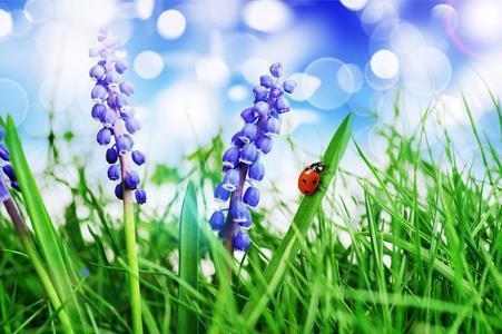 想哭的心累句子