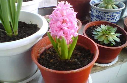 朋友圈晚安一句话句子