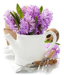 美到让人心碎的句子