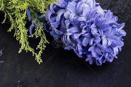 唯美的励志的句子锦集12句