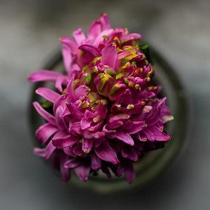 感谢一个人帮助的句子