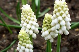 给孩子中考加油打气的话 激励初三学生拼搏的话精选78句