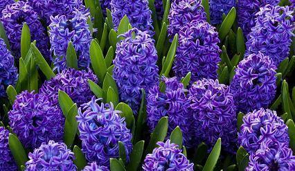 晚安短句简单致自己摘抄23句