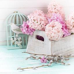 秋天的词句(精选66句)