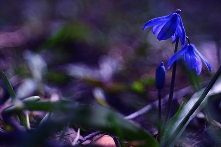 感恩亲朋好友的句子