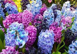 表达对感情失望的句子