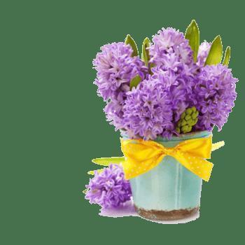 早安发朋友圈的说说 早安语录朋友圈推荐80句