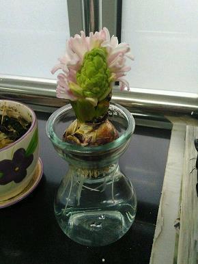 少女心爆炸的撩妹句子 坏坏撩人的情话