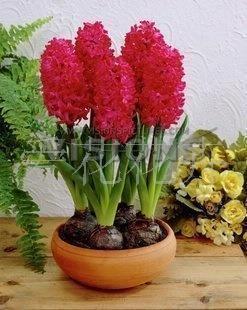 七夕促销活动文案(精选87句)