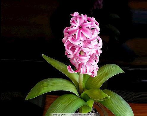 谈恋爱暖心话 恋爱之间的暖心话语