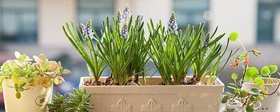 关于旅游的唯美句子33句