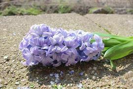 表达自己伤心难过的话 表达后悔伤心难过的句子(精选74句)