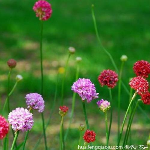 有趣的十二月份加油的句子精选(精选91句)