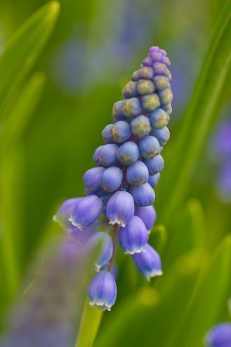 曹操经典语录大全