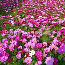 三月再见朋友圈文案唯美句子92句