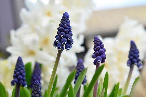 适合天亮发的朋友圈汇总37句